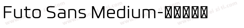 Futo Sans Medium字体转换